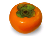 persimmon